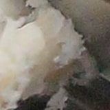 PP+セルロース51% 無添加 拡大写真